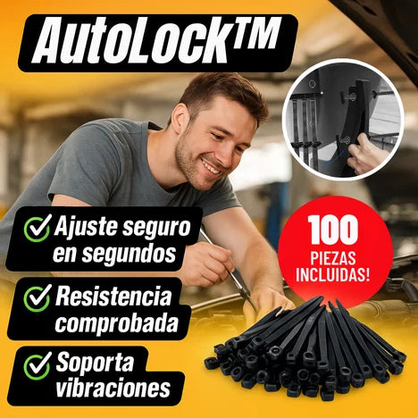 Bridas de Nylon para carro