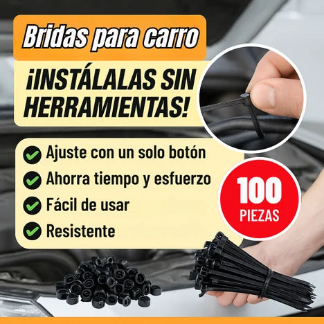 Bridas de Nylon para carro